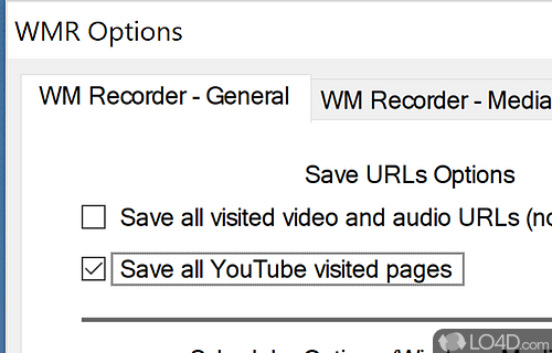 Record audio and video from computer - Screenshot of WM Recorder