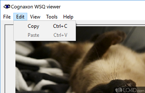 Powerful integrated image converter - Screenshot of WSQ viewer