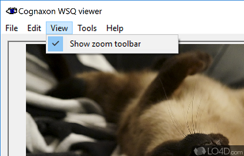 WSQ viewer Screenshot