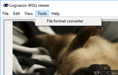 User interface - Screenshot of WSQ viewer