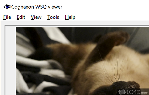 Visuals design and file support - Screenshot of WSQ viewer