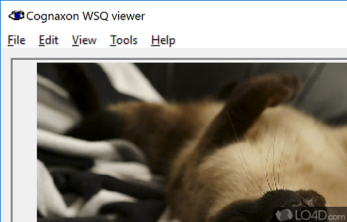 WSQ viewer Screenshot