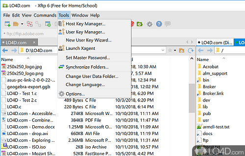 Synchronized browsing, file permission manager, direct file editing, and more - Screenshot of Xftp Free