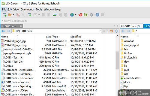 FTP/SFT client with support for multiple connections - Screenshot of Xftp Free