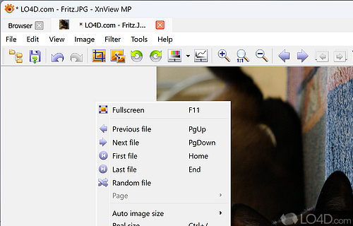 User interface - Screenshot of XnView MP