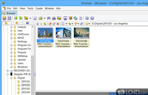 Multimedia viewer, browser and converter An multimedia viewer, browser and converterAn multimedia viewer, browser and converter - Screenshot of XnView Portable