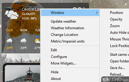 Use custom widgets on desktop - Screenshot of XWidget