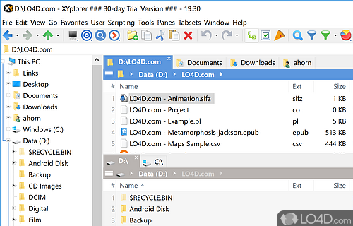File management - Screenshot of XYplorer