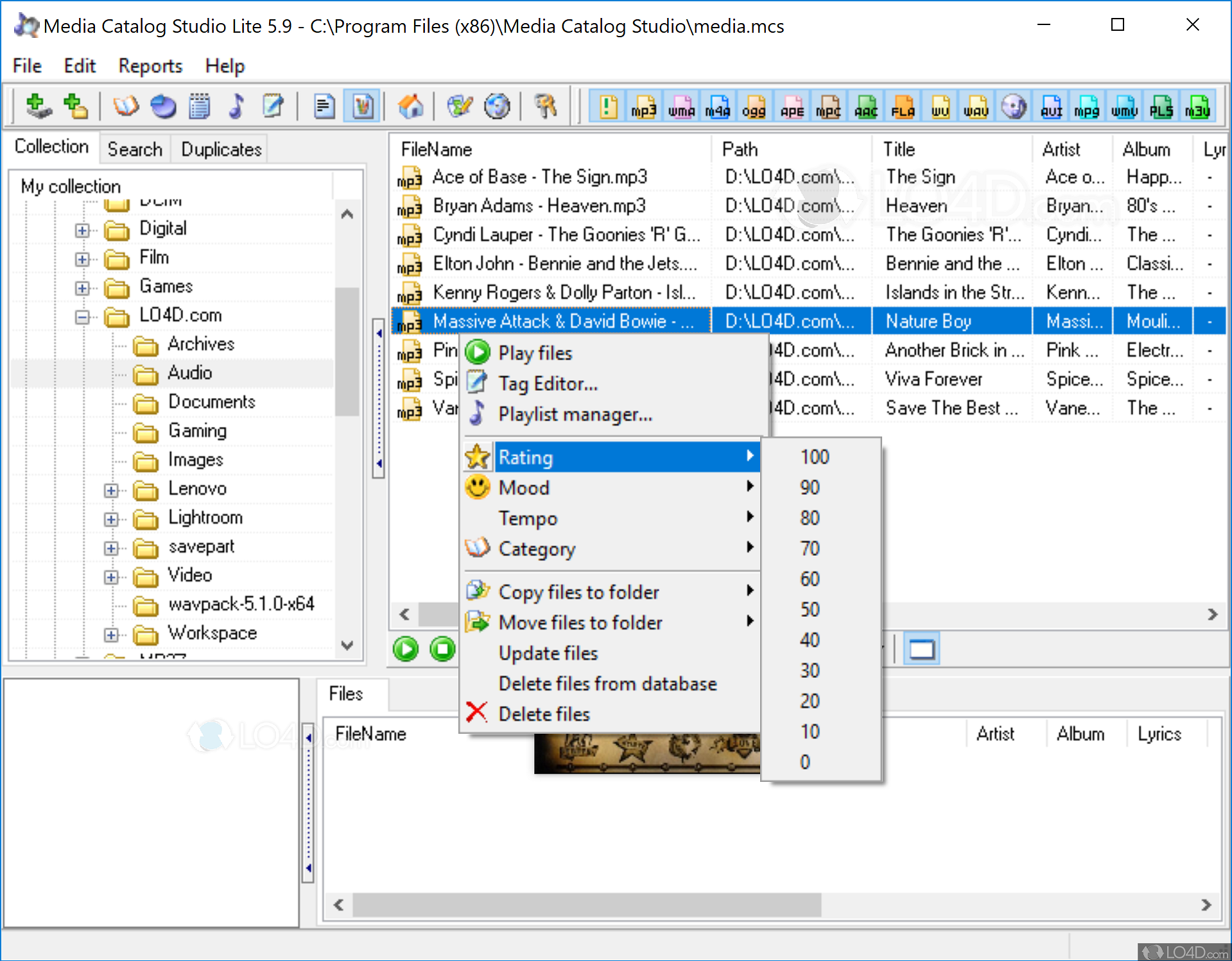 Media Catalog Studio Download