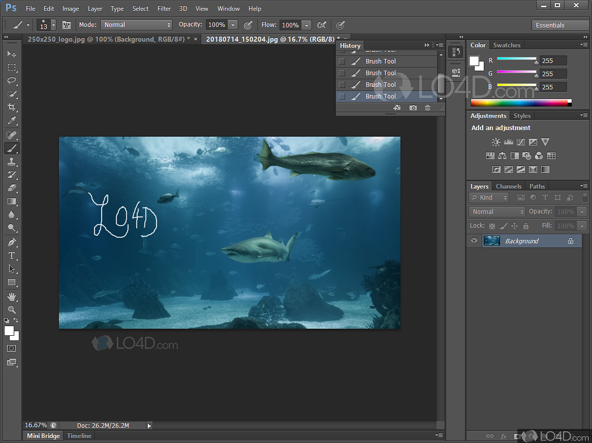 adobe photoshop cs6 indir