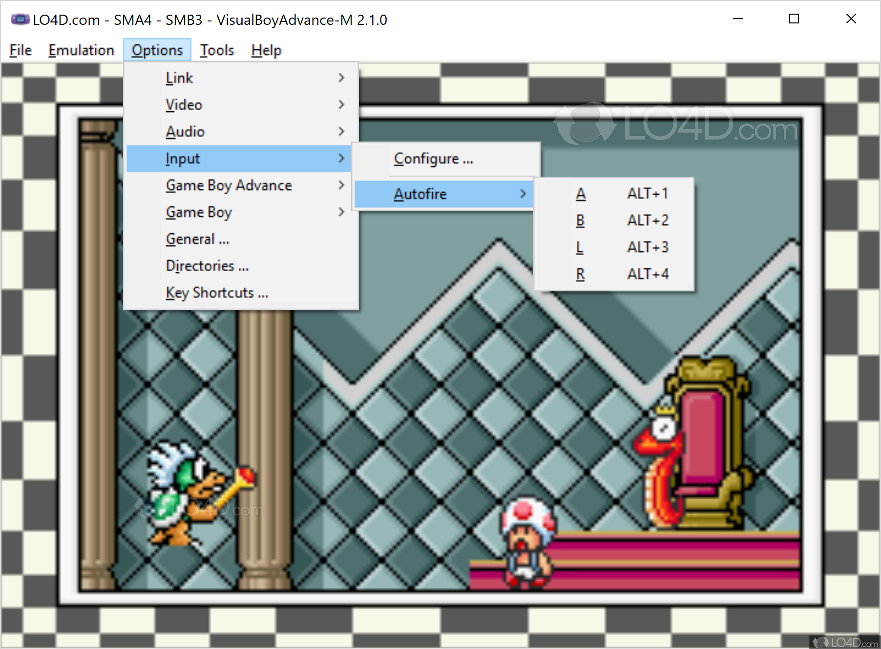 how to change controls on visual boy advance pc