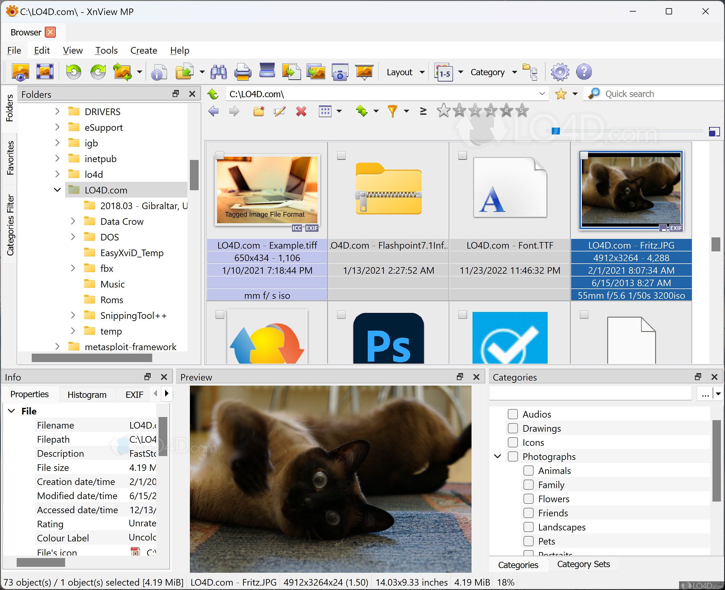 XnView MP - Download